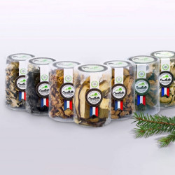 PACK DE DÉCOUVERTE DE CHAMPIGNONS