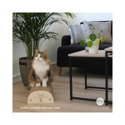 GRIFFOIR - J'HABITE CHEZ MON CHAT